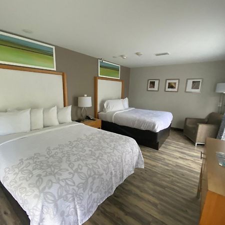 Red Roof Inn Plus & Suites Tampa Kültér fotó