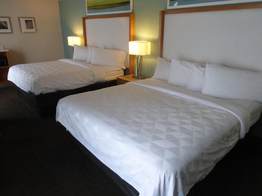 Red Roof Inn Plus & Suites Tampa Kültér fotó