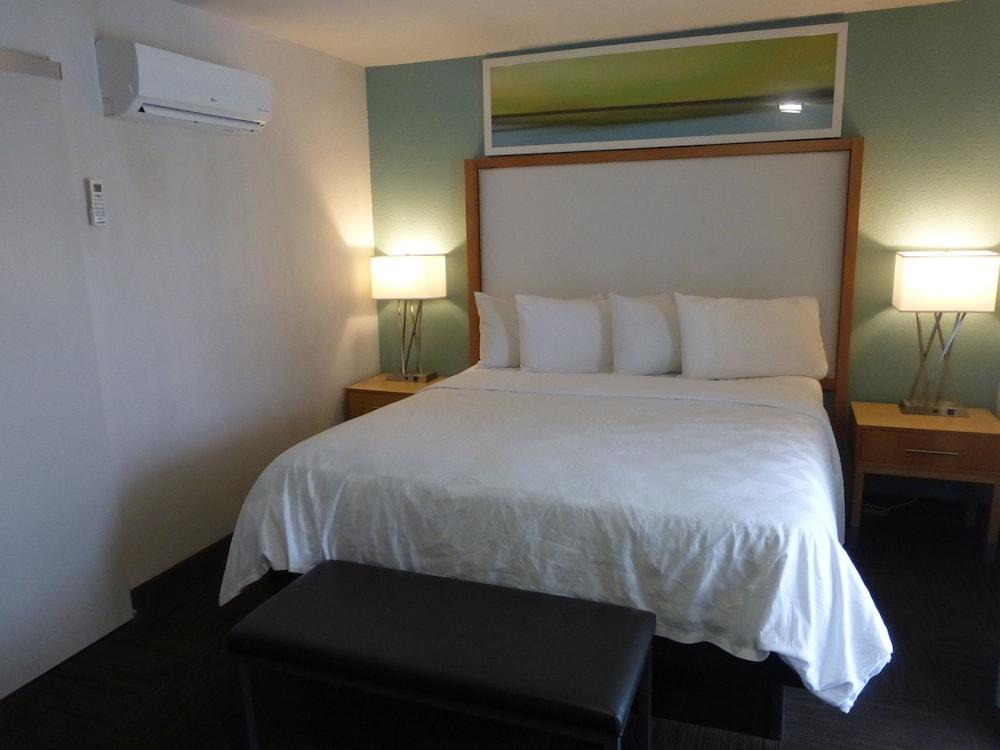 Red Roof Inn Plus & Suites Tampa Kültér fotó