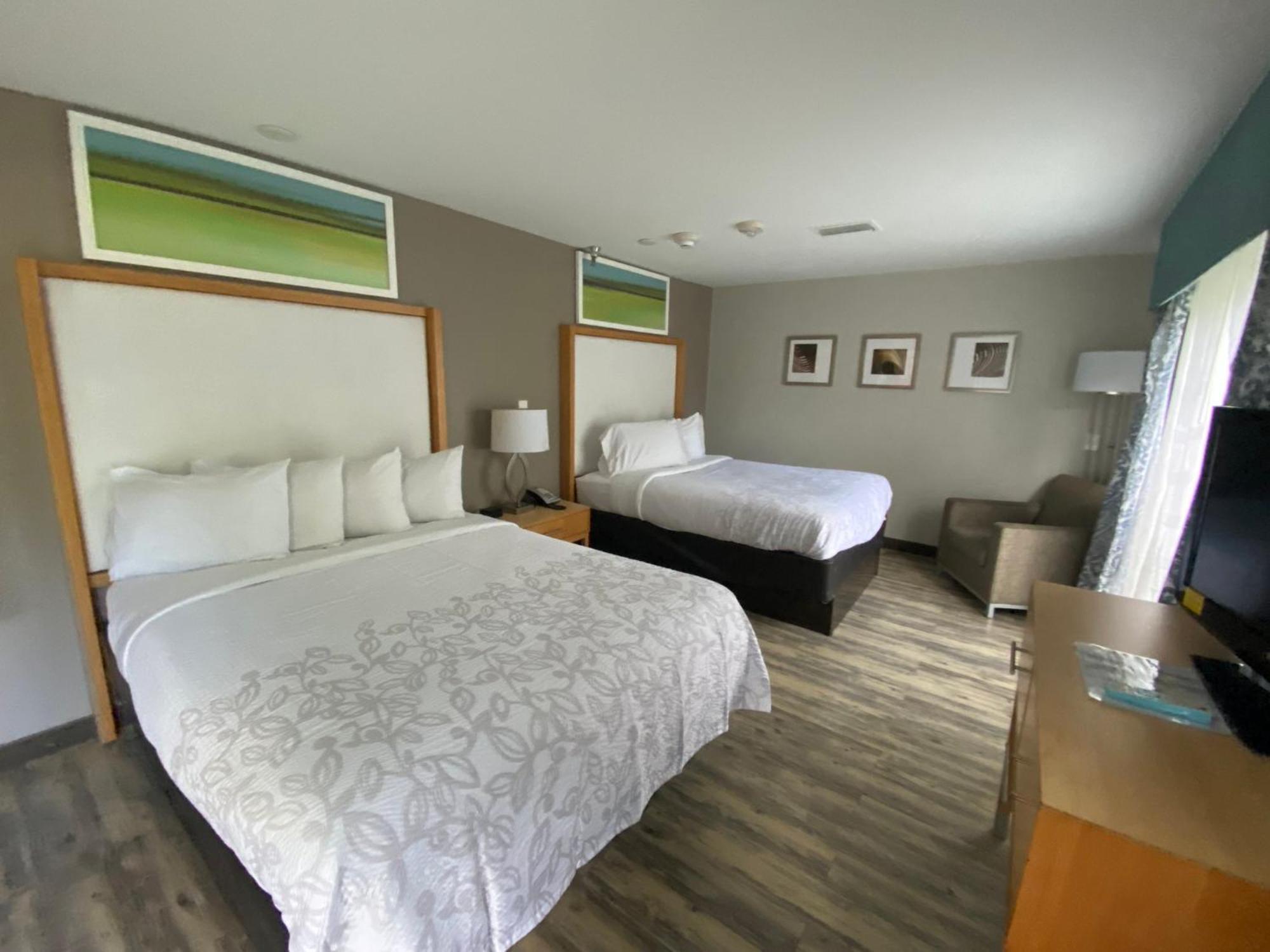 Red Roof Inn Plus & Suites Tampa Kültér fotó