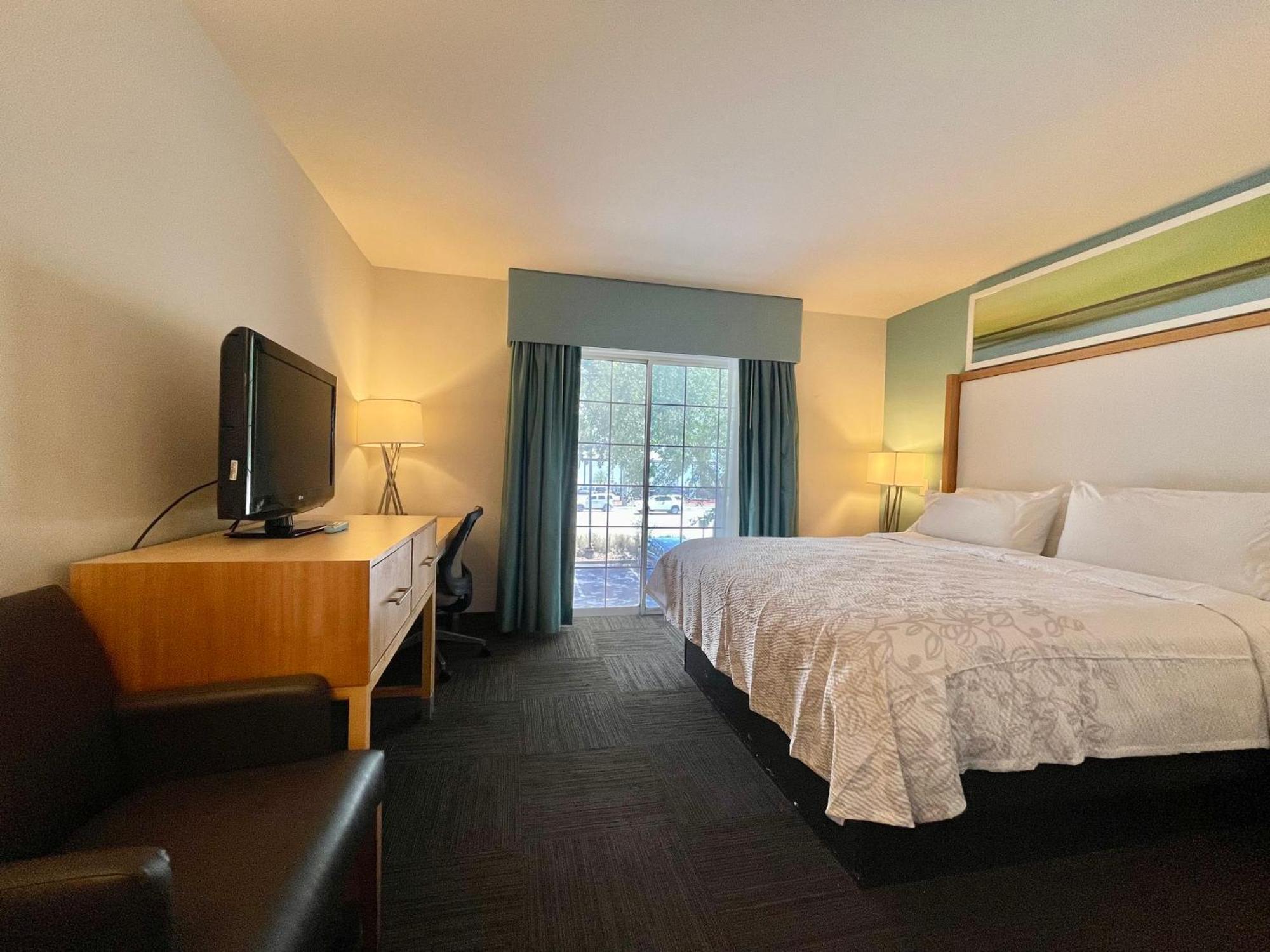 Red Roof Inn Plus & Suites Tampa Kültér fotó